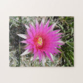 F12ボールサボテンの花「Escobaria vivipara」 ジグソーパズル (横)