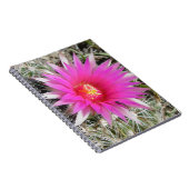 F12ボールサボテン花「エスコバリア・ヴィヴィパラ」 ノートブック (右側)