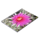 F12ボールサボテン花「エスコバリア・ヴィヴィパラ」 ノートブック (左側)