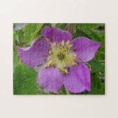 F13プリックリーバラアルバータワイルドバラ ジグソーパズル (横)