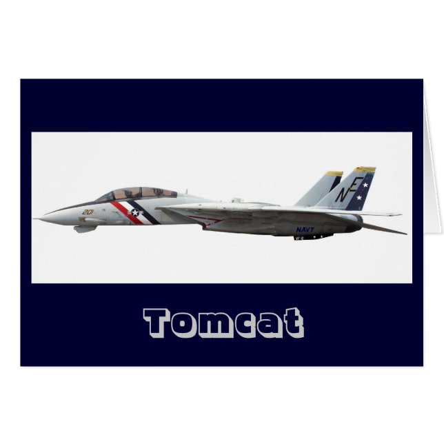 F14の雄猫 (正面横)