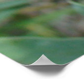 F14小さな黄色の野草 ポスター (角)