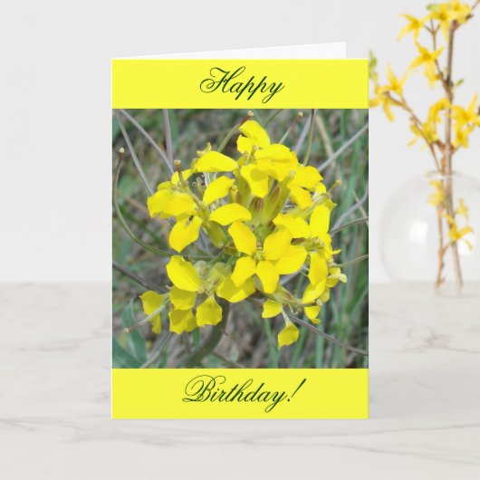 F14黄色い野草 カード (黄色い花)