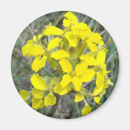 F14黄色の野草 マグネット