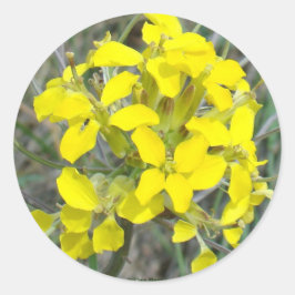 F14黄色の野草 ラウンドシール