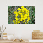 F14 小さな黄色のワイルドフラワーズ ポスター (キッチン)
