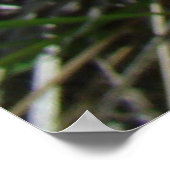 F15イエローワイルドフラワーズニーズウィード ポスター (角)