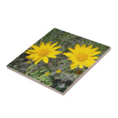 F15黄色い野生の花のSneezeweed タイル (側面)