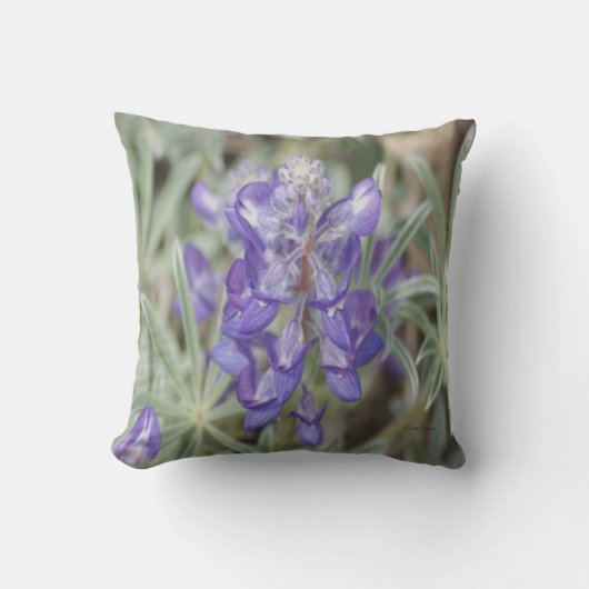 F18紫ワイルドフラワーアニュアルルパン クッション (正面)