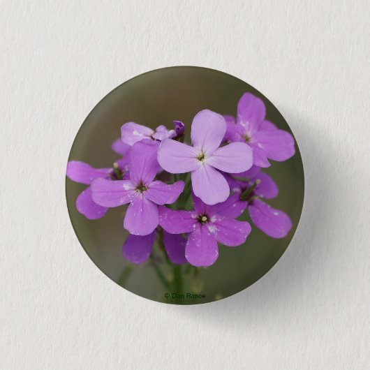 F19紫ワイルドフラワーズロケット 缶バッジ (正面)