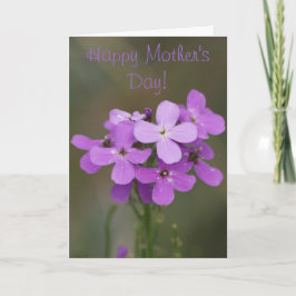 F19紫野草がロケットを破壊 カード