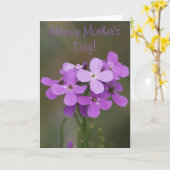 F19紫野草がロケットを破壊 カード (黄色い花)