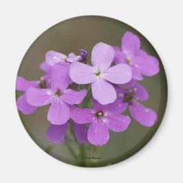 F19 パープルの野の花 ダメス ロケット マグネット