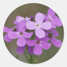 F19 パープルの野の花 ダメス ロケット ラウンドシール