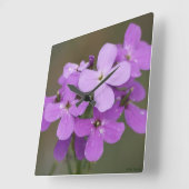 F19 紫の野の花 ダメスロケット スクエア壁時計 (傾斜)