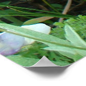 F2ミツバチが紫色の野草に咲く ポスター (角)