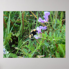 F2ミツバチが紫色の野草に咲く ポスター