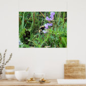 F2ミツバチが紫色の野草に咲く ポスター (キッチン)