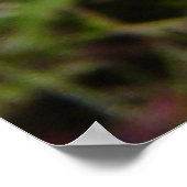 F21黄ワイルドフラワーナローリーブホークヒゲ ポスター (角)