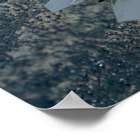 F22空力戦闘機ペア ポスター (角)