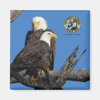 F23 & M15 – 巣の新しい時代 マグネット