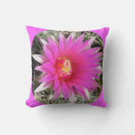 F29wボールサボテン花「Escobaria vivipara」 クッション