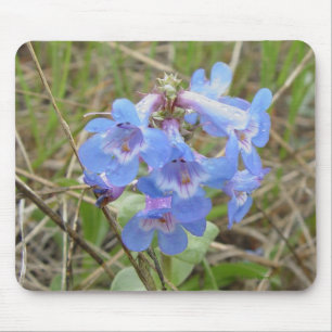 F3青い野草細い青い花 マウスパッド