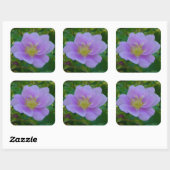 F37ワイルドバラ スクエアシール (シート)