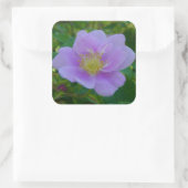 F37ワイルドバラ スクエアシール (バッグ)