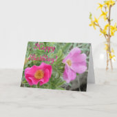 F4ワイルドバラ カード (黄色い花)