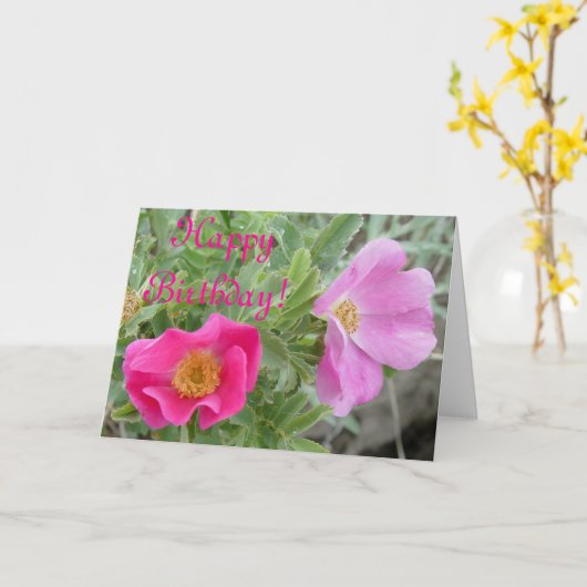 F4ワイルドバラ カード (黄色い花)