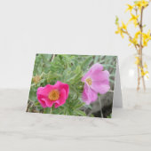 F4ワイルドバラ カード (黄色い花)