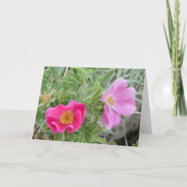 F4ワイルドバラ カード