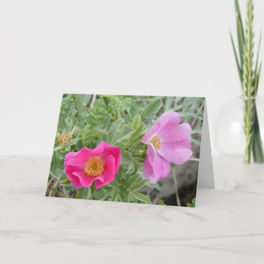 F4ワイルドバラ カード (正面)