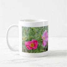 F4ワイルドバラ