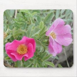 F4ワイルドバラ マウスパッド