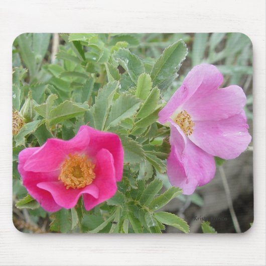 F4ワイルドバラ マウスパッド (正面)