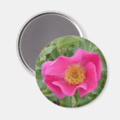 F4ワイルドバラ マグネット (正面/裏面)