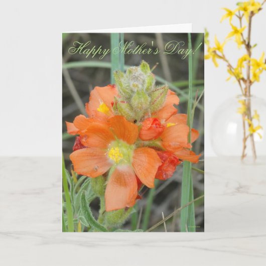 F40オレンジ山花緋色 カード (黄色い花)