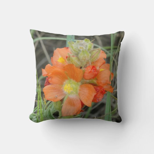 F40オレンジ色の野草緋色マロー クッション (正面)