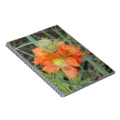 F40オレンジ色の野草緋色マロー ノートブック (右側)