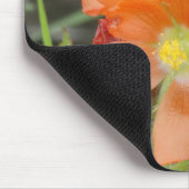 F40オレンジ色の野草緋色マロー マウスパッド (コーナー)