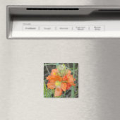 F40オレンジ色の野草緋色マロー マグネット (インサイチュ (食洗機))