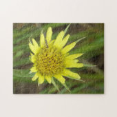 F41黄色いヤギひげ ジグソーパズル (横)