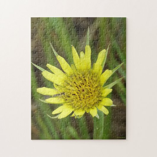 F41黄色いヤギひげ ジグソーパズル (縦)