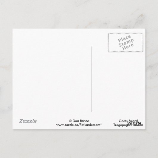 F41黄色いヤギひげ ポストカード (裏面)