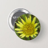 F41黄色いヤギひげ 缶バッジ (正面&裏面)