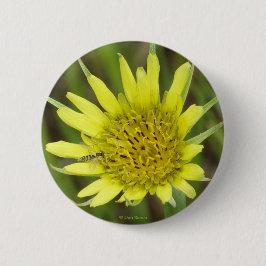 F41黄色いヤギひげ 缶バッジ