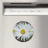 F42白ワイルドフラワースムースアスター マグネット (インサイチュ (食洗機))