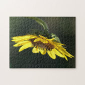 F43イエローワイルドフラワーブラックアイドスーザン ジグソーパズル (横)